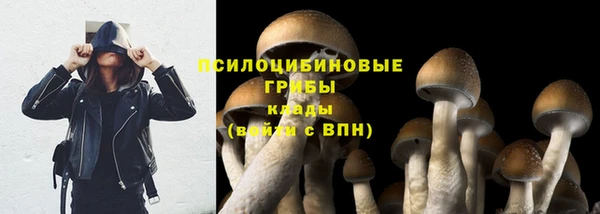 СК Балахна