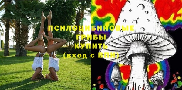 винт Армянск