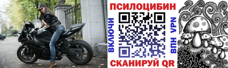 площадка наркотические препараты  наркошоп  Старица  Галлюциногенные грибы Cubensis 