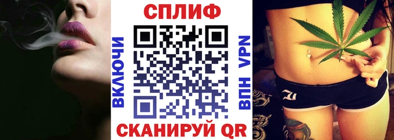 Каннабис индика гидра Старица